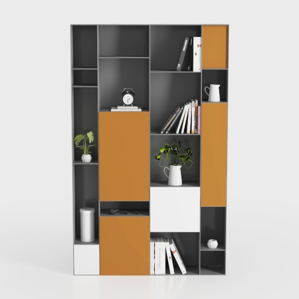 Modern Elegance-Bookshelf 1