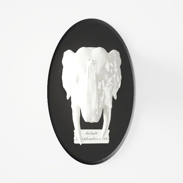 Modern Elegance-Wall Décor 3