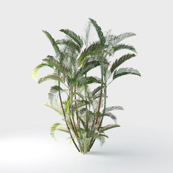 Open-air Cafe-plants 23.max