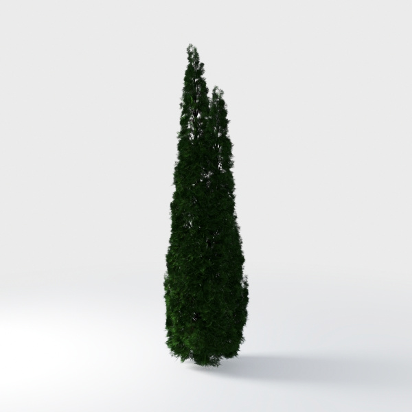 Open-air Cafe-plants 2.max