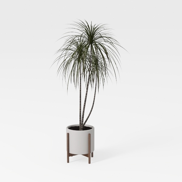 -Japandi Home